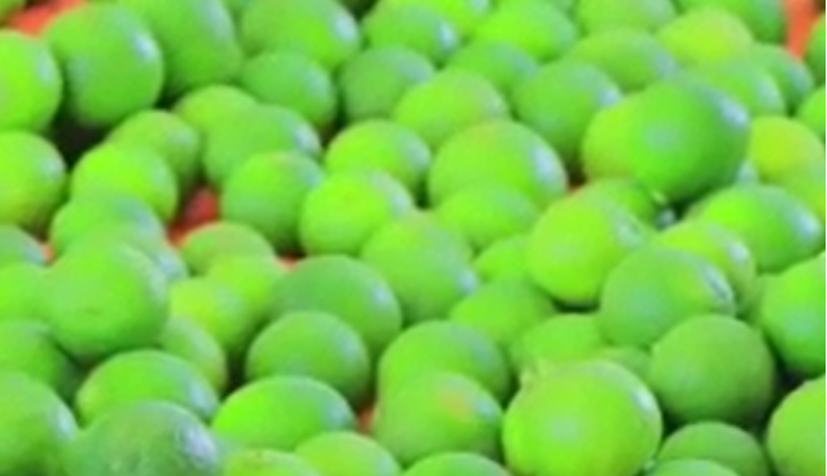 Limón Seco from Etiopía